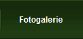 Fotogalerie